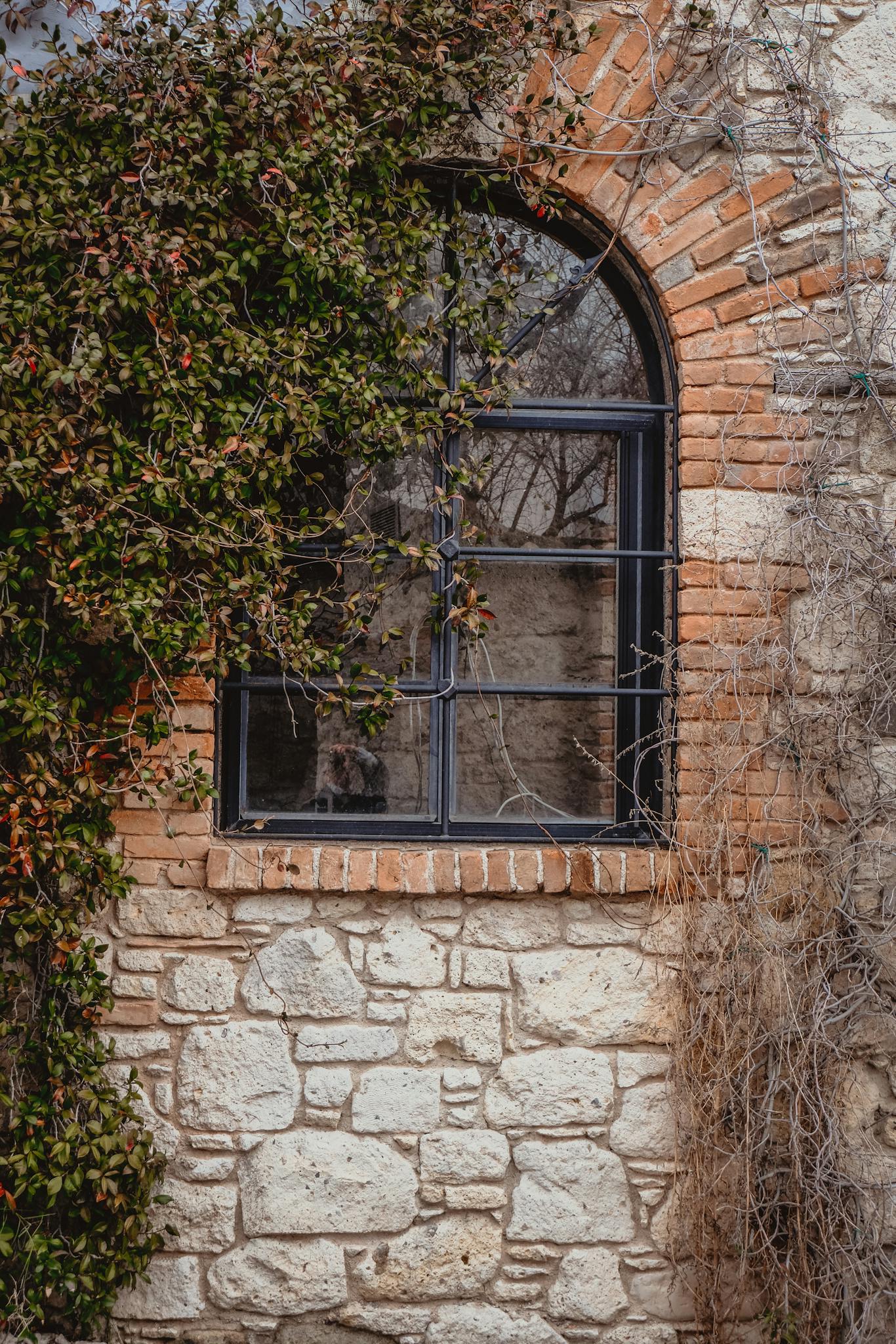 Charming rustic window amidst ivy and stone exterior, showcasing aged architecture.