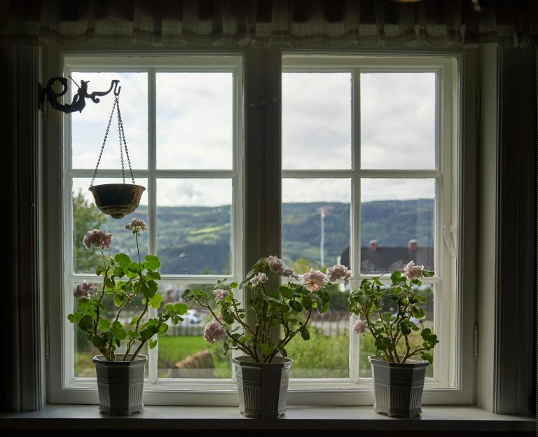 Charming view through a rustic window adorned with potted geraniums and countryside scenery.